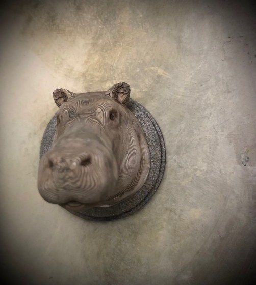 hippo3