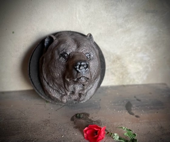 bear