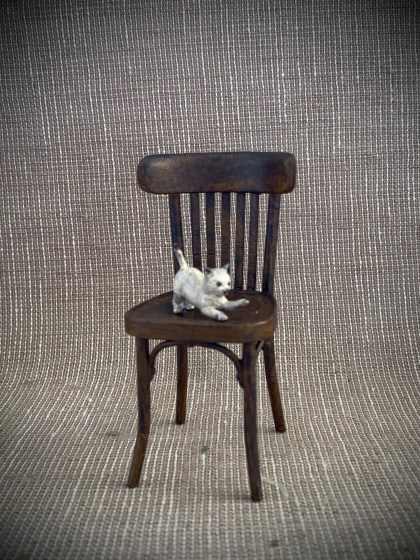 kitten_on_chair