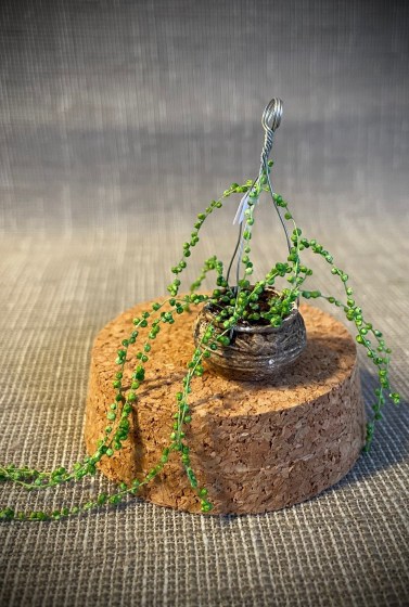 pea