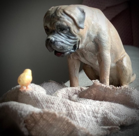 rufus_3