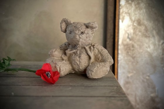 teddy