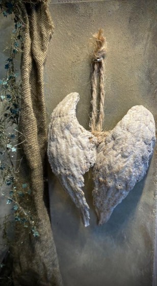 wings1